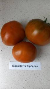 20240906_120803.thumb.jpg.3e921dd13e65623236d6e81fe30fe9f6.jpg
