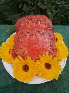 IMG_20240817_154311.thumb.jpg.c9e71d19676fe8bed52ec6a5c6be11fb.jpg
