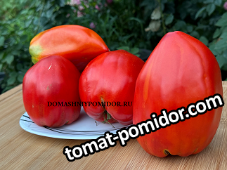 large.42752471_1.png.a837bb56940abeff0069f15e09d40b4d.png