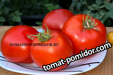 large.574336652_1.png.52b1c432705159918e65b4831e10fecd.png