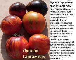 Лунная гаргамель.jpg
