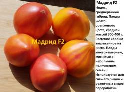 Мадрид.jpg