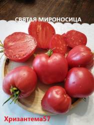 Святая мироносица ( ф.разреза).jpg