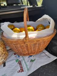 Помидорная корзина