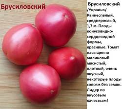 Брусиловский 1.jpg