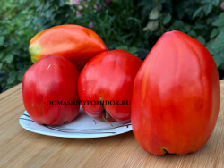 1большая красная кукла.png