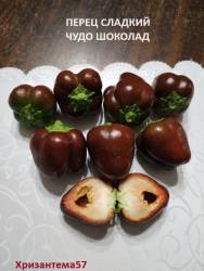 Перец Чудо шоколад