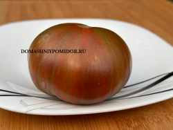 1чуматский шлях.png