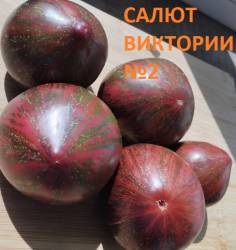 Салют Виктории 1 (2).jpg