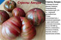 Стрелы Амура (2).jpg