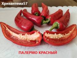 Палермо красный.jpg