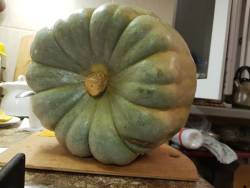 Синяя кукла (прошлогодняя)