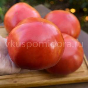 343201452_tomat-rozovka-balakovskaya-balyk-rozovyj(4)-900x900.thumb.jpg.8180d4c9afe921e370f424e2ba090446.jpg