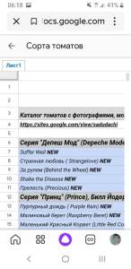 Screenshot_20241004-061850_Yandex Start.jpg