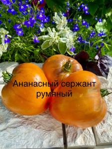 IMG_0319.jpeg