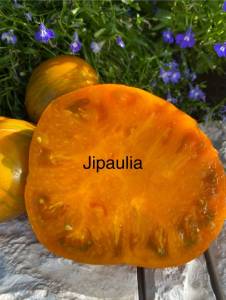 IMG_0486.jpeg