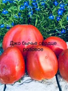IMG_0687.jpeg