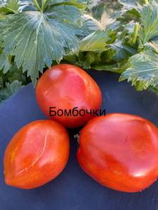 IMG_1065.jpeg