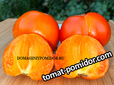 large.632457428_1.png.766e17e8d07509aa64e23e0d3d046289.png