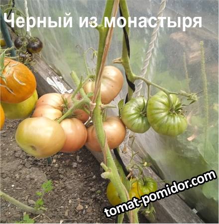 large.714277980_.jpg.daf6571c354d7b12507