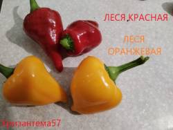 ЛЕСЯ.jpg