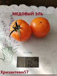 Медовый эль на весах.jpg
