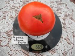 Вкусные Гордона Грэма 2.jpg