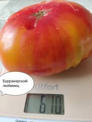 1729091972780.jpg