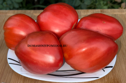 1сияй как звёзды.png