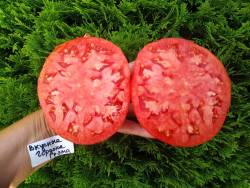 Вкусные Гордона Грэма 3.jpg