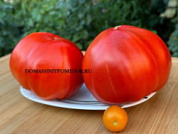 1гигант мана.png