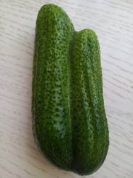 20220702_181557.jpg