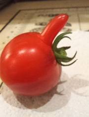 20230717_202205.jpg