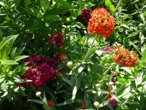 0_842c5_3d2d5416_XL.jpg