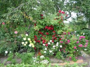 0_842f2_927771a_XL.jpg