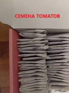 755847308_IMG_20241114_1605131.thumb.jpg.8d2c1212069709639c330d7c7db9b3f2.jpg
