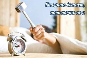 IMG-20230123-WA0015.thumb.jpg.32cecf458e9e833ac5095737e162b91e.jpg