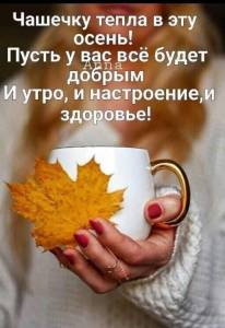 IMG-20241114-WA0016.jpg