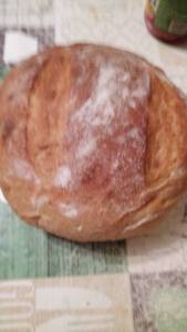 IMG-20241125-WA0014.jpeg
