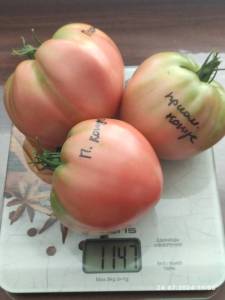IMG_20240724_110516.thumb.jpg.e2b1d89a81be2c1ed38fc75ae18c9ac0.jpg