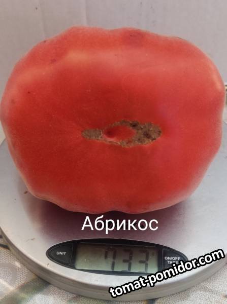 Абрикос
