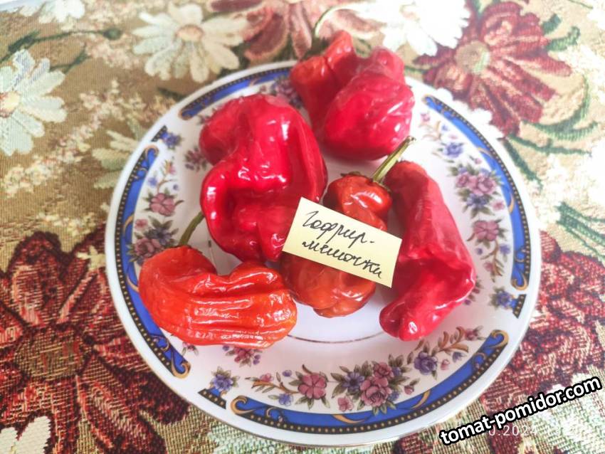 Перец острый Гофрированные мешочки (усл.)
