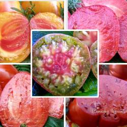 MyCollages (6).jpg