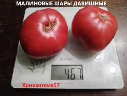 3 Малиновые шары давишные.jpg