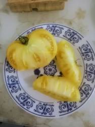 марта логан