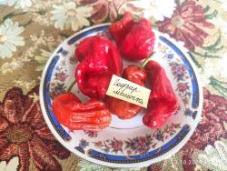 Перец острый Гофрированные мешочки (усл.)