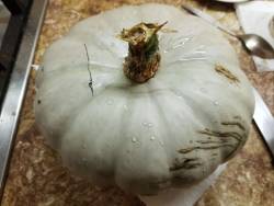 краденый Краун Принц