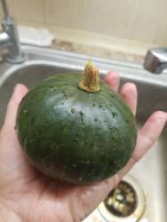 маленькая Мияко