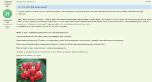 Манон 3.png