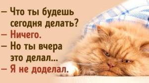 9bhgQLFKWG_B4ESrSDh0dbLl85NXzl6BndqYyqjxoa1dxgXA2bGkOZYNJEWKs1fniN8XscRyZJXJ7yaBOS3-yJ2q.thumb.jpg.8d8071c95ff728c6ebd35b423a096bbb.jpg